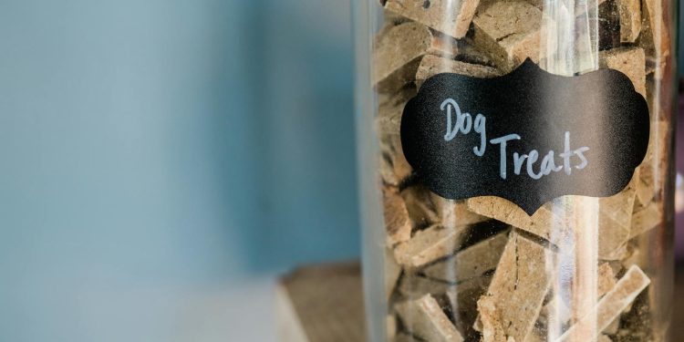 Dog Food in a Glass Container