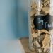 Dog Food in a Glass Container