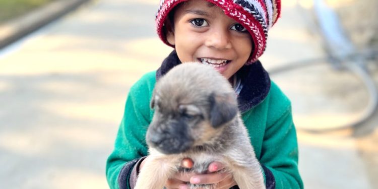 Portrait of a Small Boy in Knit Hat Holding a Puppy