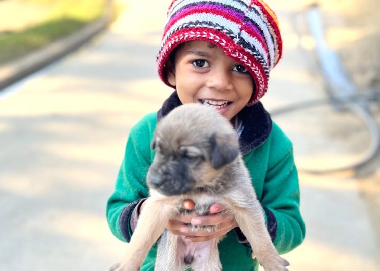 Portrait of a Small Boy in Knit Hat Holding a Puppy