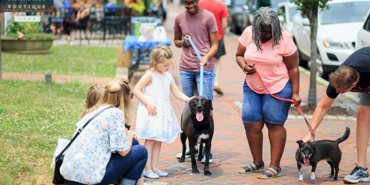 People Walking the Dog