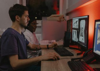 Free stock photo of adult, animal, animal rescue