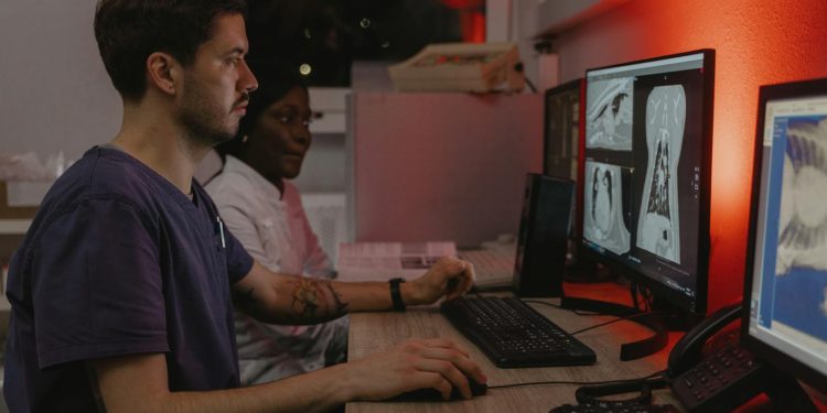 Free stock photo of adult, animal, animal rescue