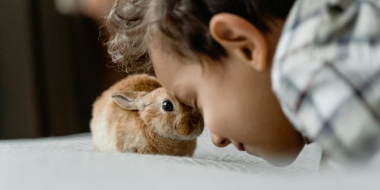 A Kid Leaning his Head on a Rabbits Head