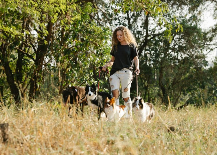 Woman with dogs walking on grassy terrain