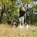 Woman with dogs walking on grassy terrain