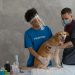 A Man Doing an Examination on a Dog
