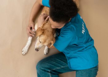 Person Hugging the Dog