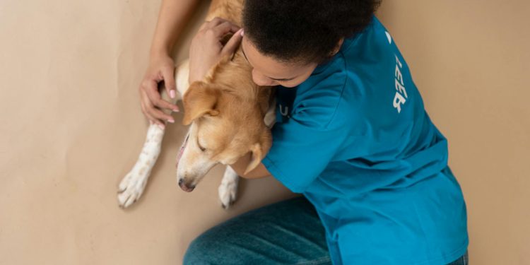 Person Hugging the Dog