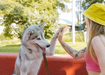 Woman and Dog Doing High Five Near Red Concrete Bench