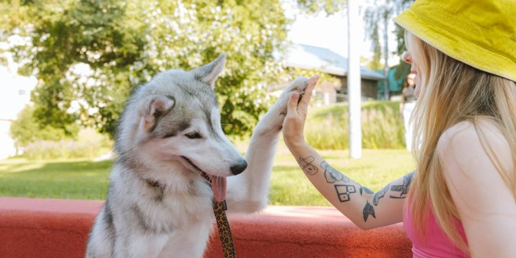 Woman and Dog Doing High Five Near Red Concrete Bench