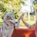 Woman and Dog Doing High Five Near Red Concrete Bench