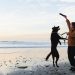 a person and a dog on a beach